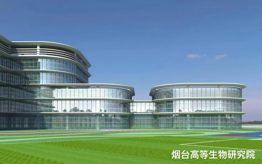 大跨度 高精度 超節能|鳳鋁助力煙臺城市更新，展登州新貌